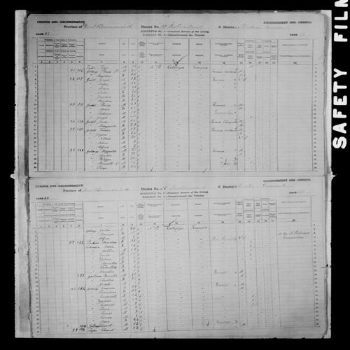 Digitized page of Census of Canada, 1881, Page number 28, for Hippolite GALANG