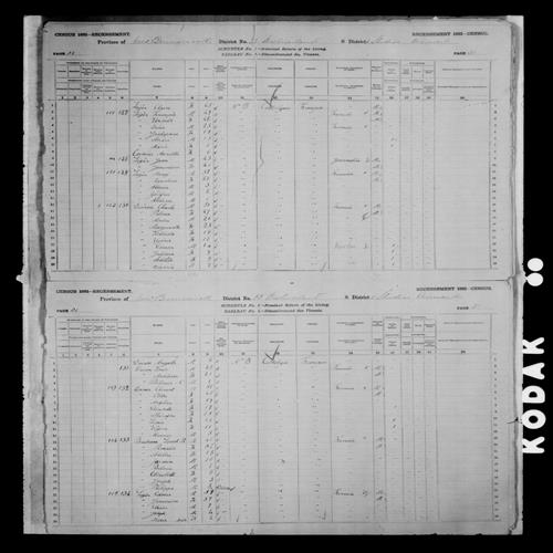 Digitized page of Census of Canada, 1881, Page number 30, for Charle DOIRON