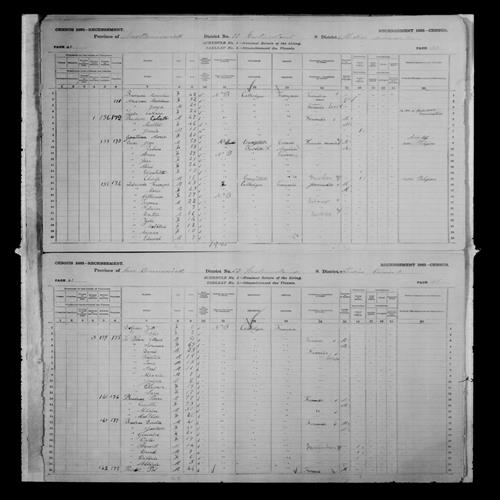 Digitized page of Census of Canada, 1881, Page number 41, for Pol THERIOT