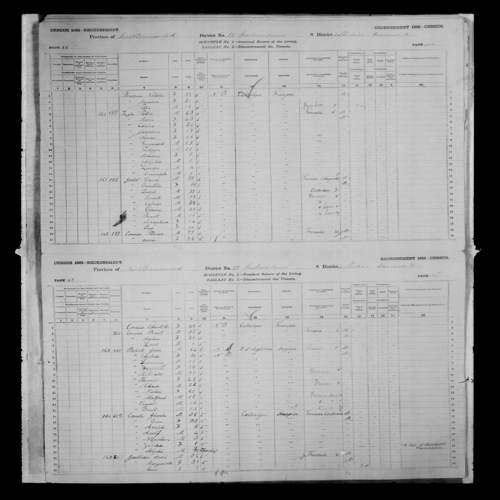 Digitized page of Census of Canada, 1881, Page number 46, for Patric LEGER