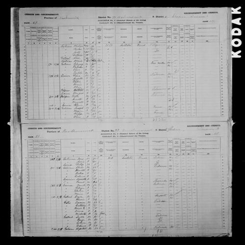 Digitized page of Census of Canada, 1881, Page number 68, for Lazor GALLANT