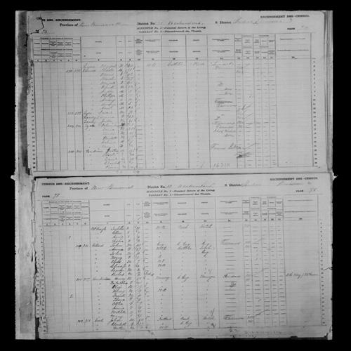 Digitized page of Census of Canada, 1881, Page number 73, for Fredric LEGER