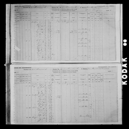 Digitized page of Census of Canada, 1881, Page number 3, for Alphe LE BLANC