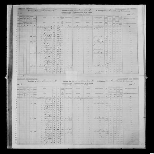 Digitized page of Census of Canada, 1881, Page number 7, for Tilman MELANCON