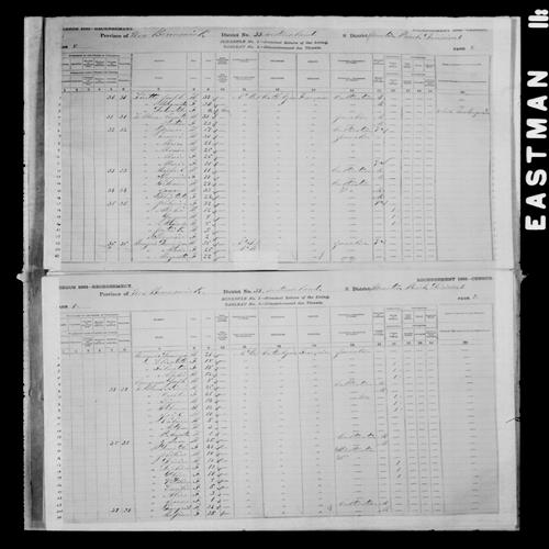 Digitized page of Census of Canada, 1881, Page number 9, for Gregoire LE BLANC