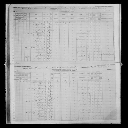 Digitized page of Census of Canada, 1881, Page number 10, for Philippe BOURQUE