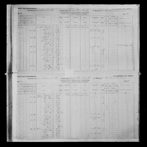 Digitized page of Census of Canada, 1881, Page number 15, for Moise DOIRON