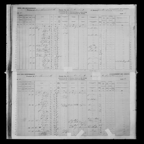 Digitized page of Census of Canada, 1881, Page number 17, for Emma PETERS