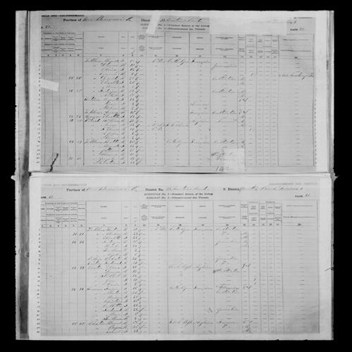 Digitized page of Census of Canada, 1881, Page number 20, for Vautown LE BLANC