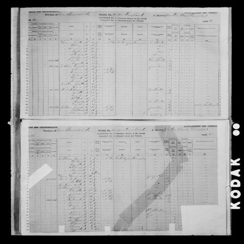 Digitized page of Census of Canada, 1881, Page number 25, for Ferdinand LE BLANC