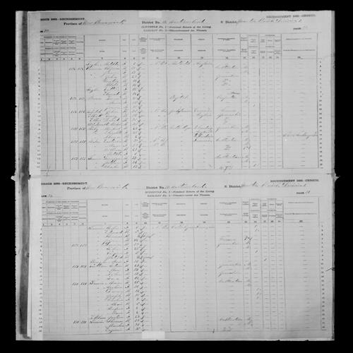 Digitized page of Census of Canada, 1881, Page number 38, for Elserado TAYLOR