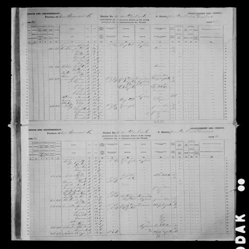 Digitized page of Census of Canada, 1881, Page number 46, for Albert CUMMINS