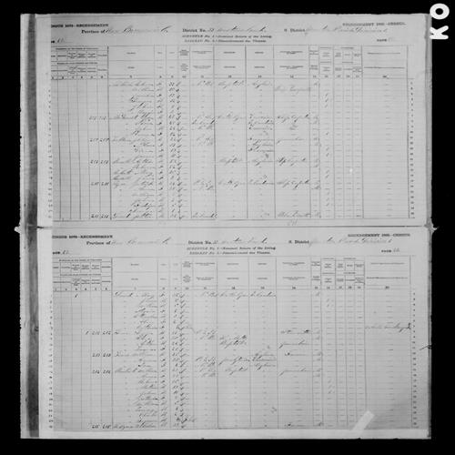 Digitized page of Census of Canada, 1881, Page number 49, for George GREEN