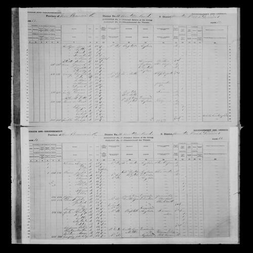 Digitized page of Census of Canada, 1881, Page number 50, for Charlotte SNOW