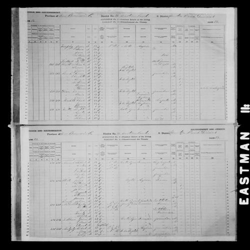 Digitized page of Census of Canada, 1881, Page number 53, for Jean MA...