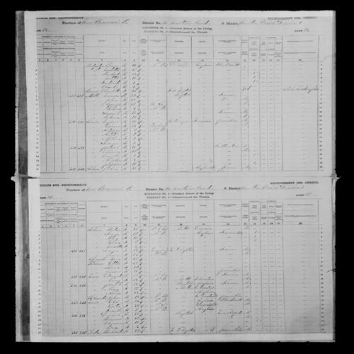 Digitized page of Census of Canada, 1881, Page number 55, for Dora CHAPMAN