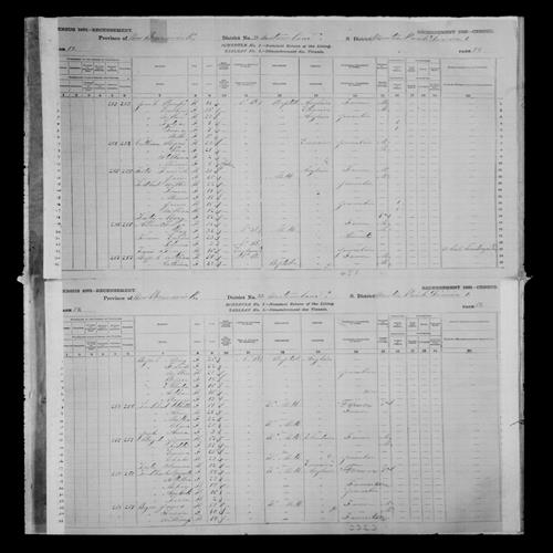 Digitized page of Census of Canada, 1881, Page number 58, for Willard JONA...