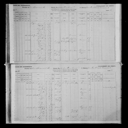 Digitized page of Census of Canada, 1881, Page number 61, for John ONIEL