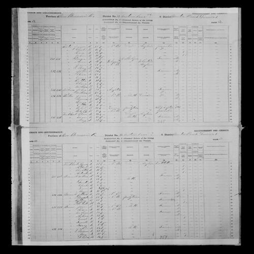 Digitized page of Census of Canada, 1881, Page number 62, for Anne TRITES