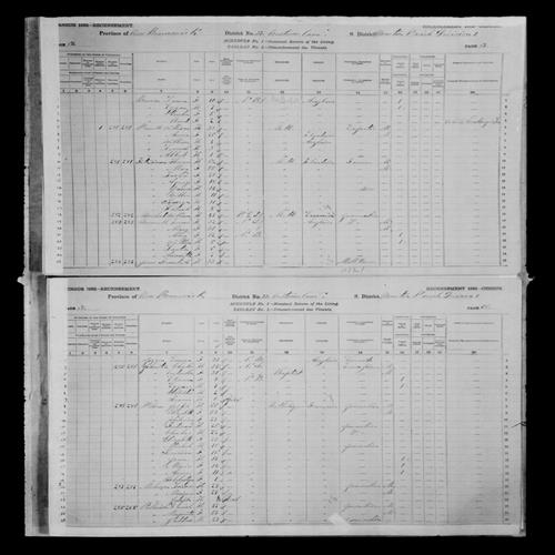 Digitized page of Census of Canada, 1881, Page number 64, for Lauta BROWNELL