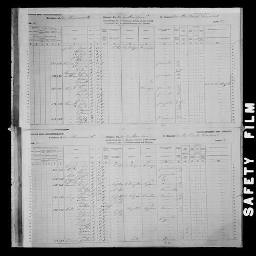 Digitized page of Census of Canada, 1881, Page number 66, for Silvie PELLERIN