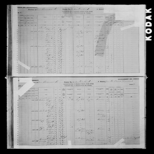 Digitized page of Census of Canada, 1881, Page number 70, for Thomas BULMER