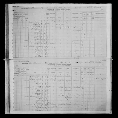 Digitized page of Census of Canada, 1881, Page number 82, for Ellen LARRACEY