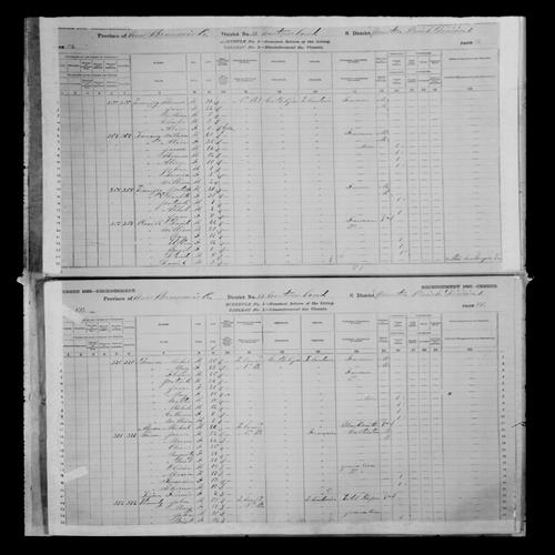 Digitized page of Census of Canada, 1881, Page number 84, for Thomas LARRACEY