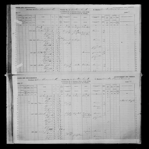 Digitized page of Census of Canada, 1881, Page number 87, for Florence DONAVAN