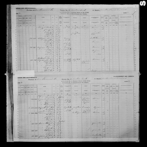 Digitized page of Census of Canada, 1881, Page number 90, for Allan B MURRAY