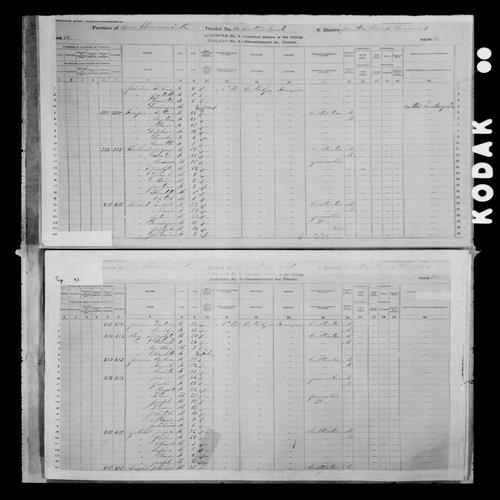 Digitized page of Census of Canada, 1881, Page number 93, for Cecile POIRRIER
