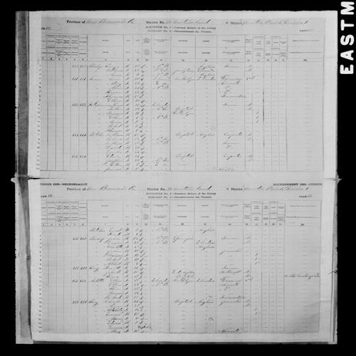 Digitized page of Census of Canada, 1881, Page number 98, for George BISHOP