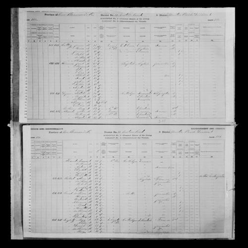 Digitized page of Census of Canada, 1881, Page number 100, for Alexander ALEXANDER