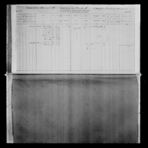 Digitized page of Census of Canada, 1881, Page number 104, for Frank'n KILLAM