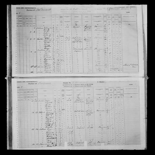 Digitized page of Census of Canada, 1881, Page number 2, for Hannah COSTAIN