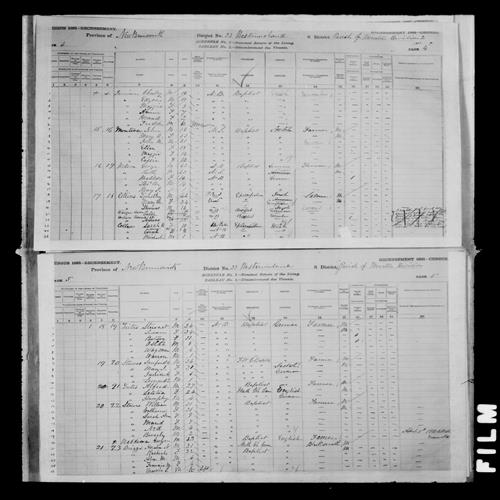 Digitized page of Census of Canada, 1881, Page number 5, for Sanford B STEEVES