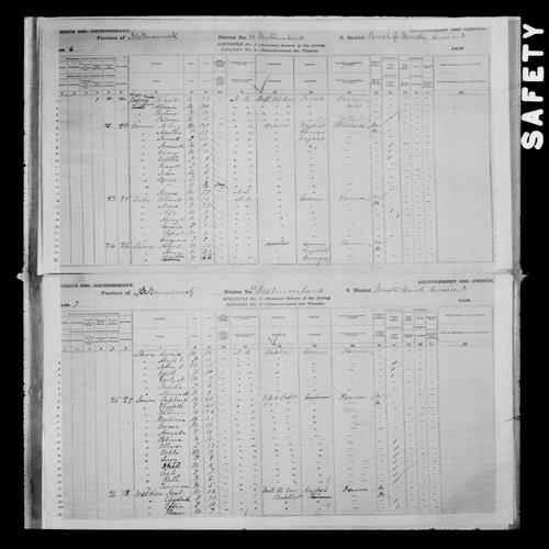 Digitized page of Census of Canada, 1881, Page number 6, for Alburn ROGERS