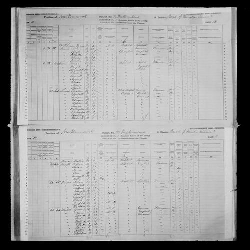 Digitized page of Census of Canada, 1881, Page number 10, for Miles T. SOMERS
