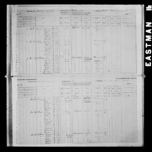 Digitized page of Census of Canada, 1881, Page number 13, for Robt W. FINLEY