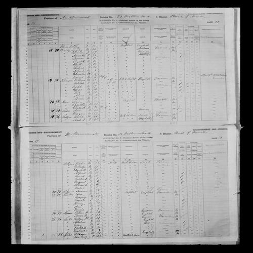 Digitized page of Census of Canada, 1881, Page number 19, for Fletcher RODGERS