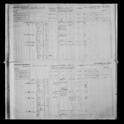 Digitized page of Census of Canada, 1881, Page number 22, for Margart MCFARLAN