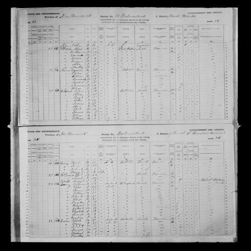 Digitized page of Census of Canada, 1881, Page number 24, for Catherine MCFARLAN