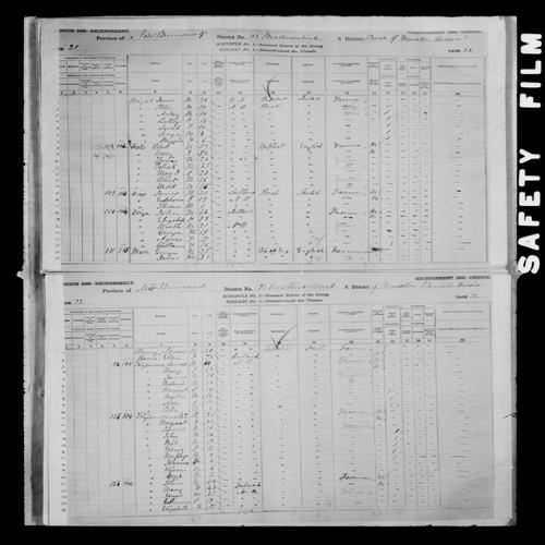 Digitized page of Census of Canada, 1881, Page number 28, for Mary HICKS