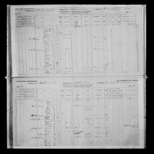 Digitized page of Census of Canada, 1881, Page number 31, for Susan DONEHOE