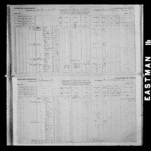Digitized page of Census of Canada, 1881, Page number 40, for William HORSEMAN