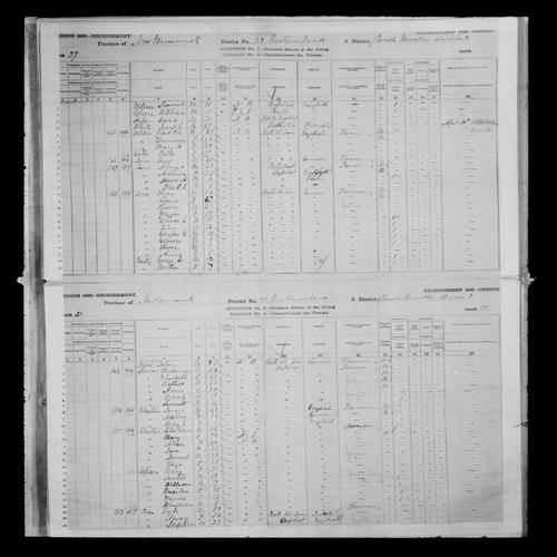 Digitized page of Census of Canada, 1881, Page number 38, for Malcom SOMERS