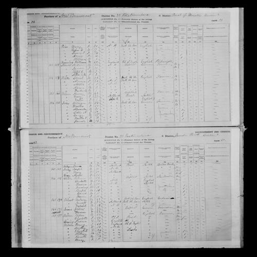Digitized page of Census of Canada, 1881, Page number 39, for Annie PRICE