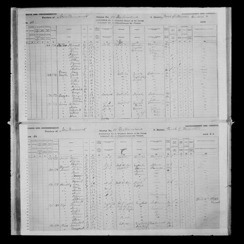 Digitized page of Census of Canada, 1881, Page number 44, for Oliver MORRELL