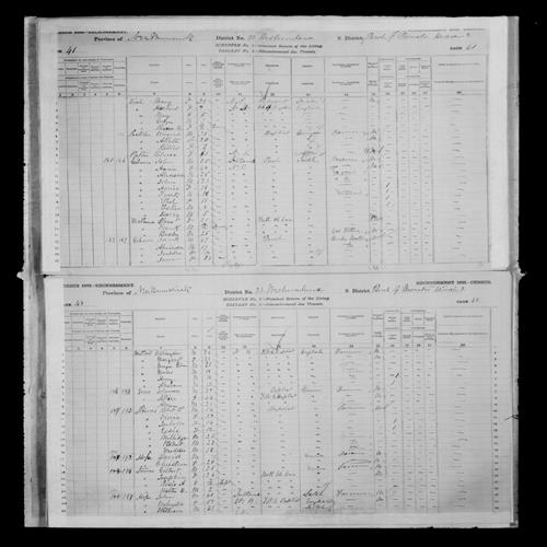 Digitized page of Census of Canada, 1881, Page number 41, for Rebecca RAFTER