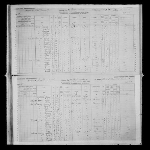 Digitized page of Census of Canada, 1881, Page number 45, for Martha PRINCE